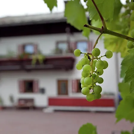 Rosenegg